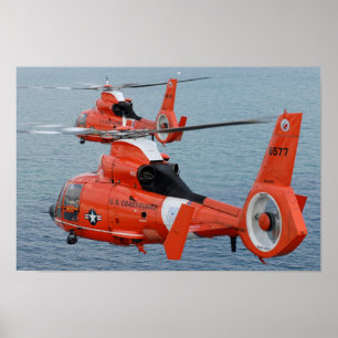 HH-65イルカ ポスター