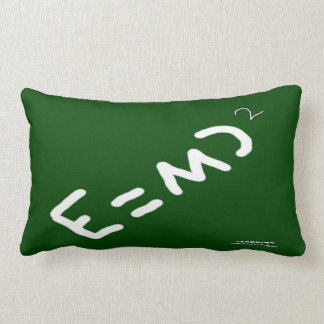 HI54EDU物理相対性理論RVC ランバークッション