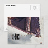 Hi - Black Snake in the Basement ポストカード (正面/裏面)