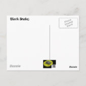 Hi - Black Snake in the Basement ポストカード (裏面)