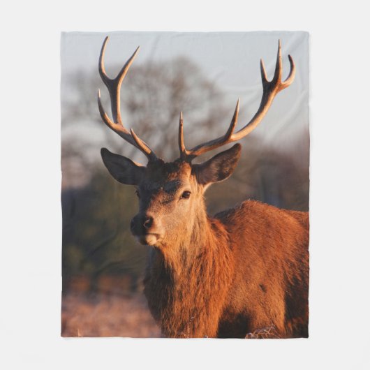 HI DEER フリースブランケット (正面)