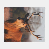 HI DEER フリースブランケット (正面(横))