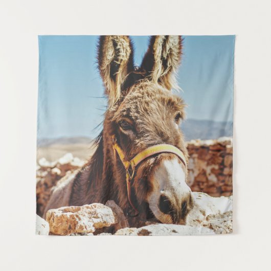 HI DONKEY タペストリー (正面)
