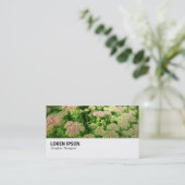 Hi-Phi - 0244 - Sedum "Autumn Joy" 名刺 (スタンド正面)