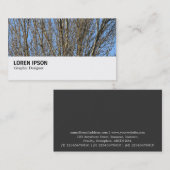 Hi-Phi - 0276 – 日に照らされた枝 名刺 (正面/裏面)