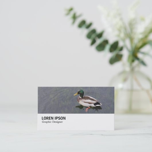 Hi-Phi - 0282 - Mallard Duck 名刺 (スタンド正面)