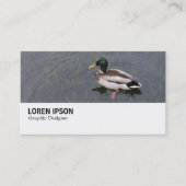 Hi-Phi - 0282 - Mallard Duck 名刺 (正面)