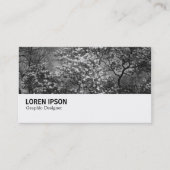 Hi-Phi - 0291 - Magnolia Tree in Blossom 名刺 (正面)