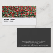 Hi-Phi - 0292 – 赤いチューリップとプリムローズ 名刺 (正面/裏面)