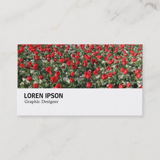 Hi-Phi - 0292 – 赤いチューリップとプリムローズ 名刺 (正面)
