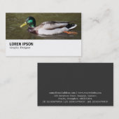 Hi-Phi - 0294 - Mallard Duck 名刺 (正面/裏面)