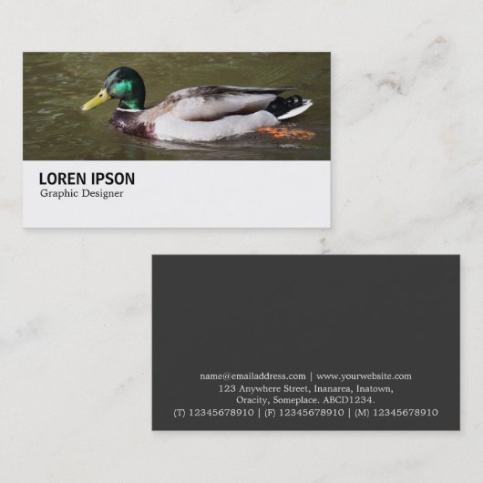 Hi-Phi - 0294 - Mallard Duck 名刺 (正面/裏面)