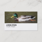 Hi-Phi - 0294 - Mallard Duck 名刺 (正面)