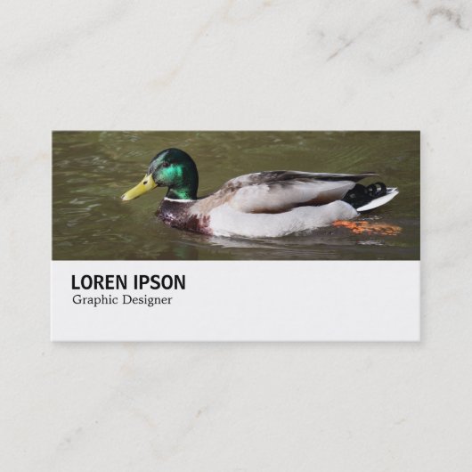 Hi-Phi - 0294 - Mallard Duck 名刺 (正面)