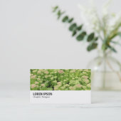 Hi-Phi - 0311 - Sedum (Autumn Joy) 名刺 (スタンド正面)