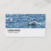 Hi-Phi - 085 - Swan - Cardiff Bay 名刺 (正面)