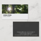 Hi-Phi - 095 - Sun Through Trees 名刺 (正面/裏面)