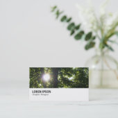 Hi-Phi - 095 - Sun Through Trees 名刺 (スタンド正面)