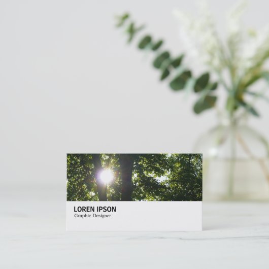 Hi-Phi - 095 - Sun Through Trees 名刺 (スタンド正面)