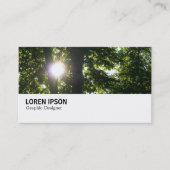 Hi-Phi - 095 - Sun Through Trees 名刺 (正面)