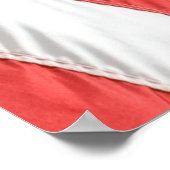 Hi Res COMPACT PHOTO BACKDROP - US Flag Gray ポスター (角)