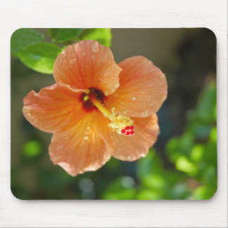 Hibiscisの花のマウスパッド マウスパッド