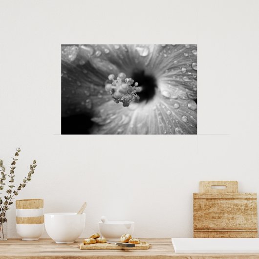 Hibiscus ポスター (キッチン)