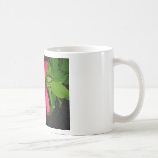hibiscus à fleurs rouges コーヒーマグカップ (右)