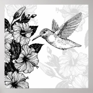 Hibiscus and hummingbird ポスター