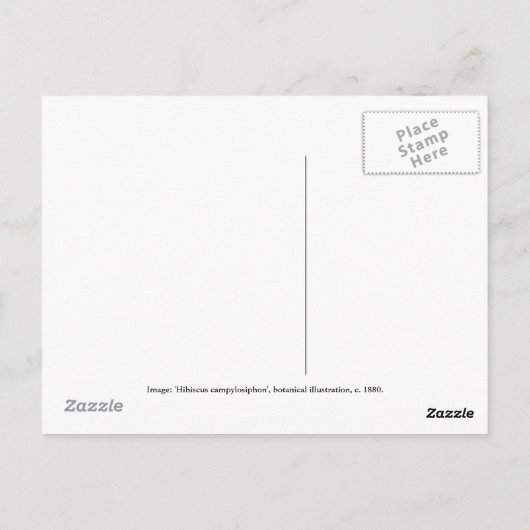 Hibiscus campylosiphon, c.1880 ポストカード (裏面)