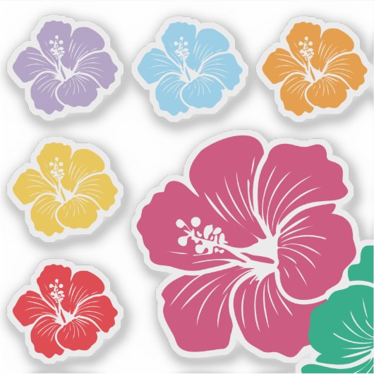 Hibiscus Flowers Variety シール (正面)