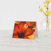 Hibiscus~Friendship/Proverbs燃え立つ18:24 カード (黄色い花)