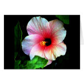Hibiscus jGibney The Museum Zazzle (正面横)