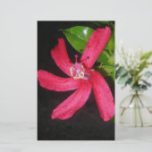 hibiscus rouge 便箋 (スタンド正面)
