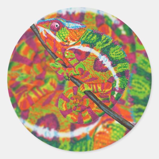 Hidden Chameleonスタンプ ラウンドシール (正面)