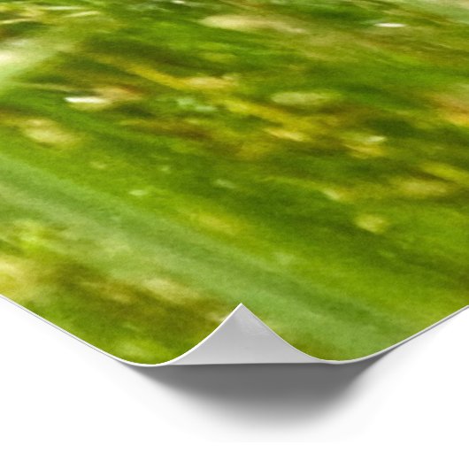 "Hidden Heron" (Landscape) ポスター (角)