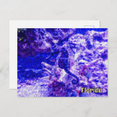 Hidden Seahorse Art in Purple and Blue Florida ポストカード (正面/裏面)
