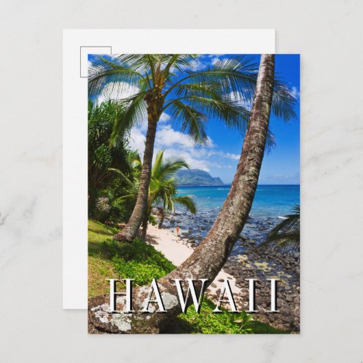 Hideawaysビーチのヤシの木並木 ポストカード (正面/裏面)