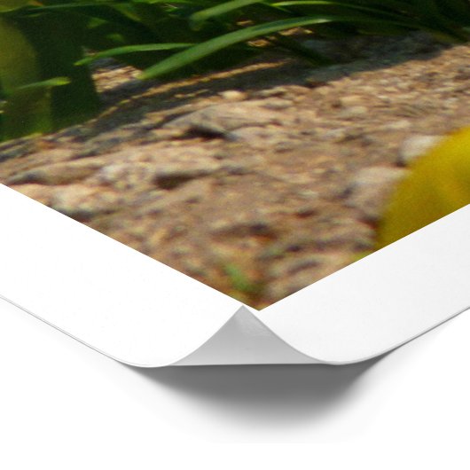 Hierapolis Ruins, Turkey ポスター (角)