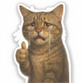 High Detail Sad Cat Giving Thumbs Up シール (正面)