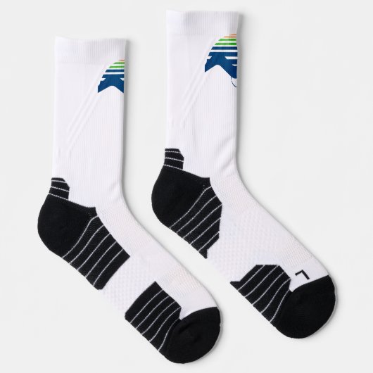 High-Performance Athletic Sock  ソックス (右)