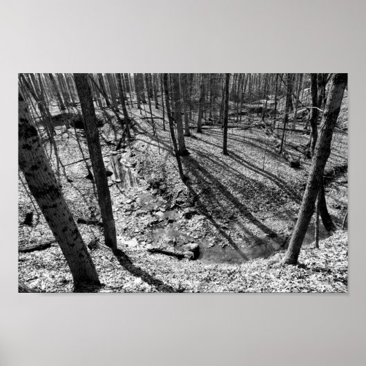 Highbanks Metroparkのストリーム（黒/白） ポスター (正面)