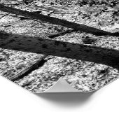 Highbanks Metroparkのストリーム（黒/白） ポスター (角)