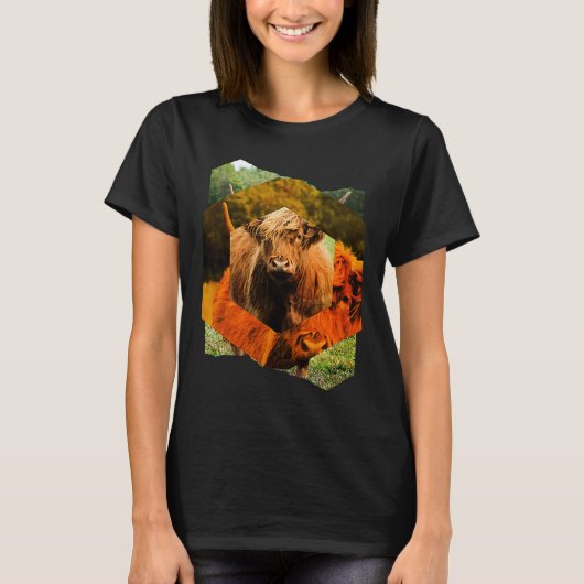 Highland Cattle Cow Highland Cattle Highland Cattl Tシャツ (正面)