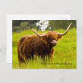 Highland Cowポストカード ポストカード (正面/裏面)