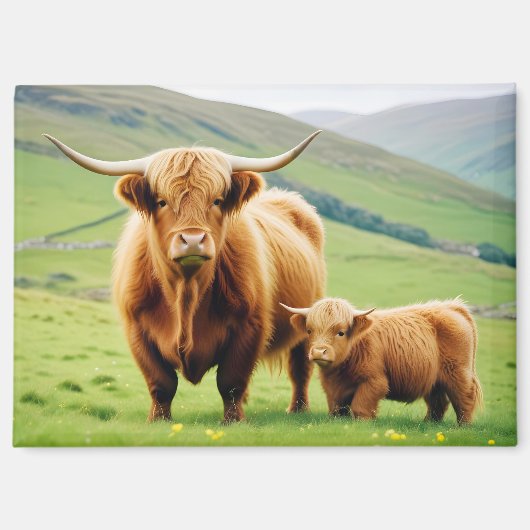 Highland Cow Animal Nature Wildlife Affection Love マグネット (正面)