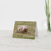 Highland Cow Greeting card カード (正面)