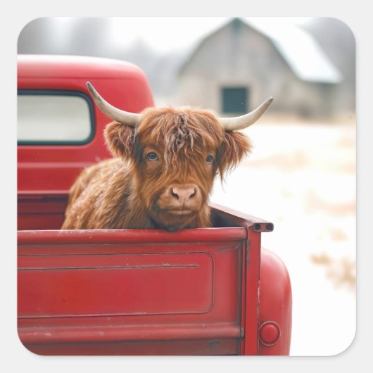 Highland Cow In a Red Retro Pickup Truck スクエアシール (正面)