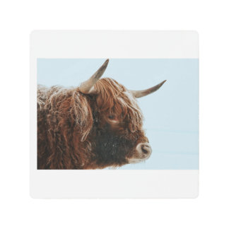 Highland Cow in the Snow Metal Print メタルプリント