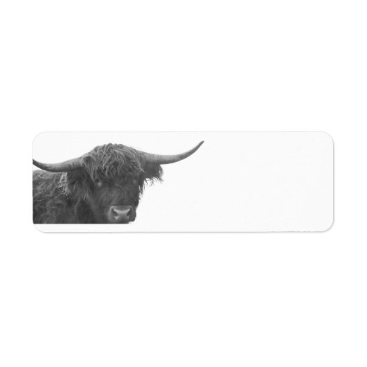 Highland Cow Return Address Labels ラベル (正面)